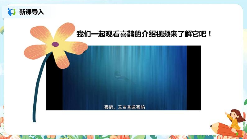9.枫树上的喜鹊（第1课时）课件（送教案+同步练习）03