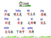 人教版五年级下册语文 第1单元 2.祖父的园子初读感知课件