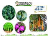 人教版五年级下册语文 第1单元 2.祖父的园子课前预习课件