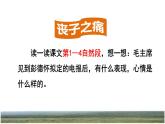 人教版五年级下册语文 第4单元 10.青山处处埋忠骨品读释疑课件
