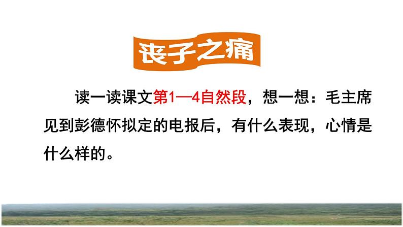 人教版五年级下册语文 第4单元 10.青山处处埋忠骨品读释疑课件第5页