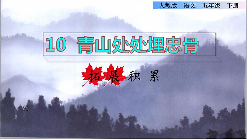 人教版五年级下册语文 第4单元 10.青山处处埋忠骨拓展积累课件第1页