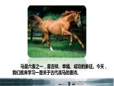 人教版六年级下册语文 第4单元 10.古诗三首《马诗》品读释疑课件第一课时