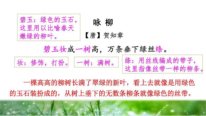 人教版二年级下册语文 第1单元 1 古诗二首——咏柳品读释疑 课件第3页