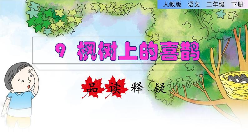 人教版二年级下册语文 第4单元 9 枫树上的喜鹊品读释疑课件第1页