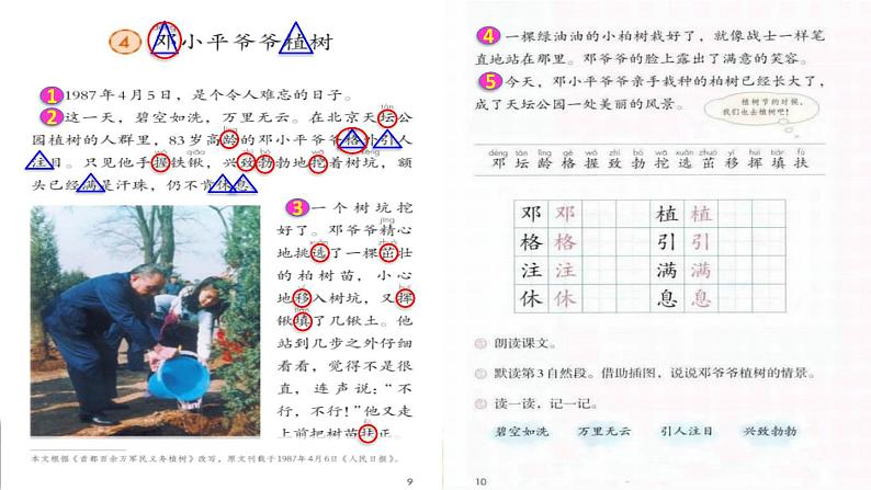 人教版二年级下册语文 第1单元 4  邓小平爷爷植树课前预习课件第6页