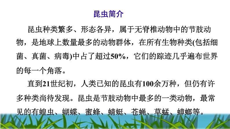 人教版二年级下册语文 第4单元 11 我是一只小虫子课前预习课件第3页