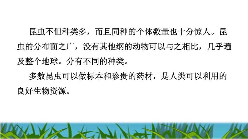 人教版二年级下册语文 第4单元 11 我是一只小虫子课前预习课件第4页