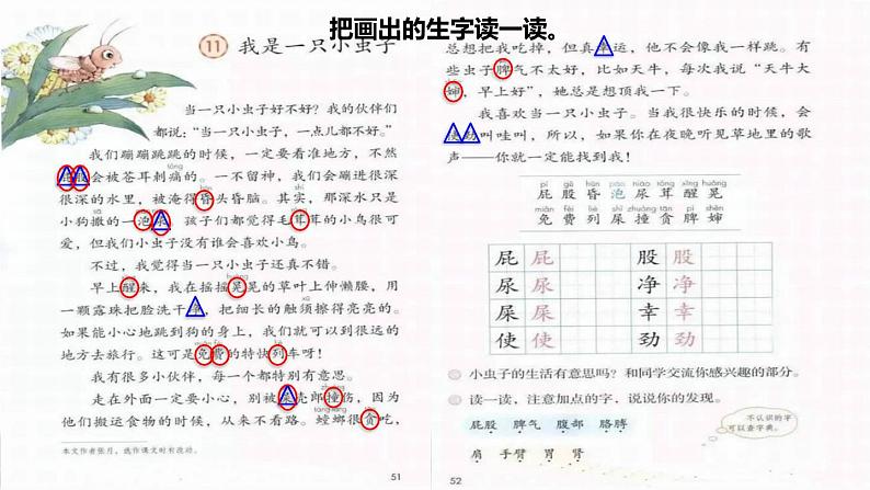 人教版二年级下册语文 第4单元 11 我是一只小虫子初读感知课件第5页