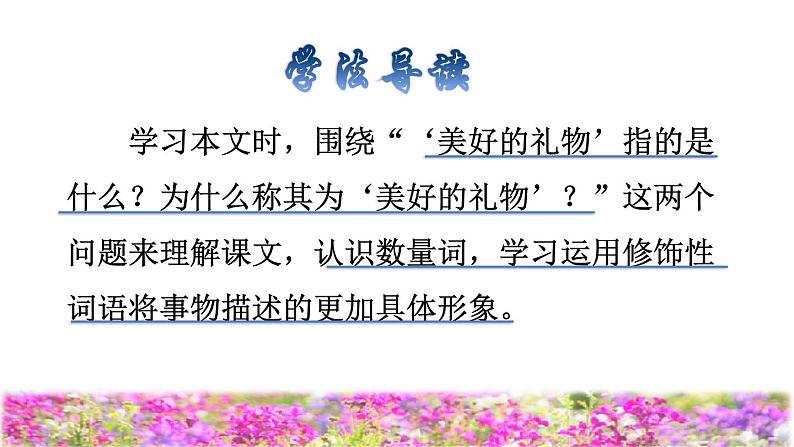 人教版二年级下册语文 第1单元 3  开满鲜花的小路品读释疑课件03