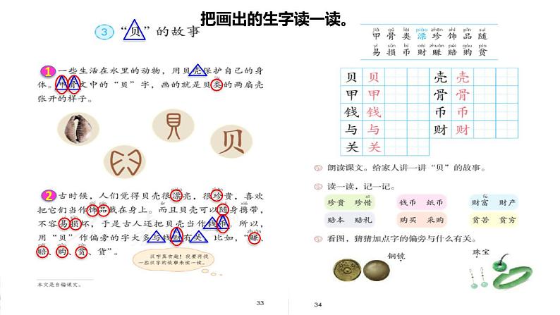 人教版二年级下册语文 第3单元 3 “贝”的故事初读感知课件第5页