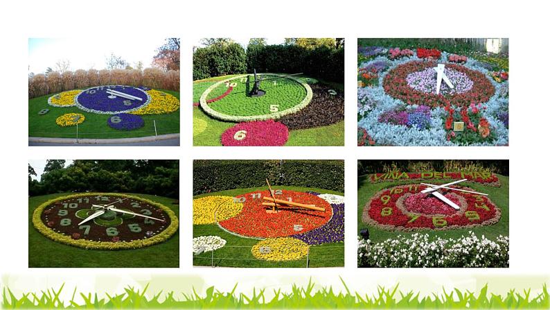 人教版三年级下册语文 第4单元 第13课 13 花钟课前预习课件第5页