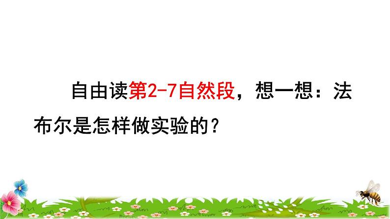 人教版三年级下册语文 第4单元 第14课 14 蜜蜂品读释疑课件第6页