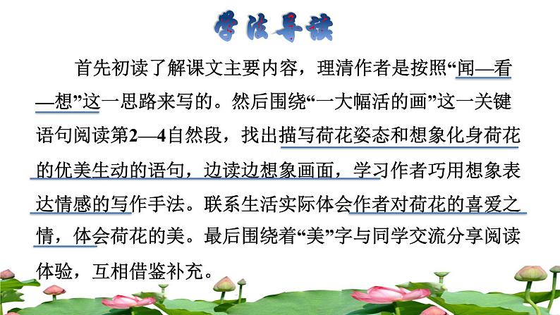 人教版三年级下册语文 第1单元 第3课 3 荷花品读释疑课件第3页