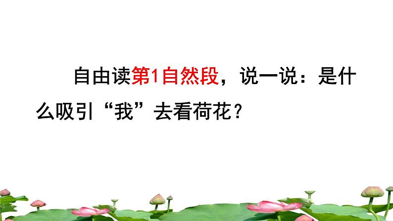 人教版三年级下册语文 第1单元 第3课 3 荷花品读释疑课件第4页