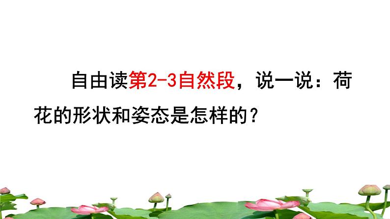 人教版三年级下册语文 第1单元 第3课 3 荷花品读释疑课件第6页