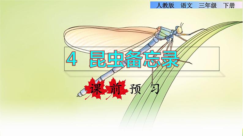 人教版三年级下册语文 第1单元 第4课 4 昆虫备忘录课前预习课件第1页