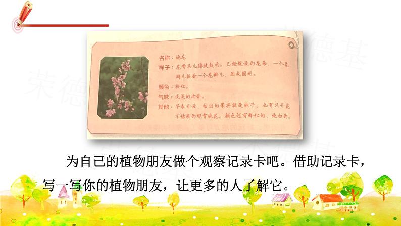 人教版三年级下册语文 第1单元 习作：我的植物朋友课件PPT第4页