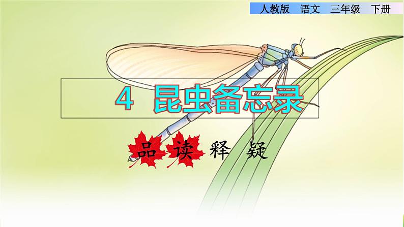 人教版三年级下册语文 第1单元 第4课 4 昆虫备忘录品读释疑课件第1页