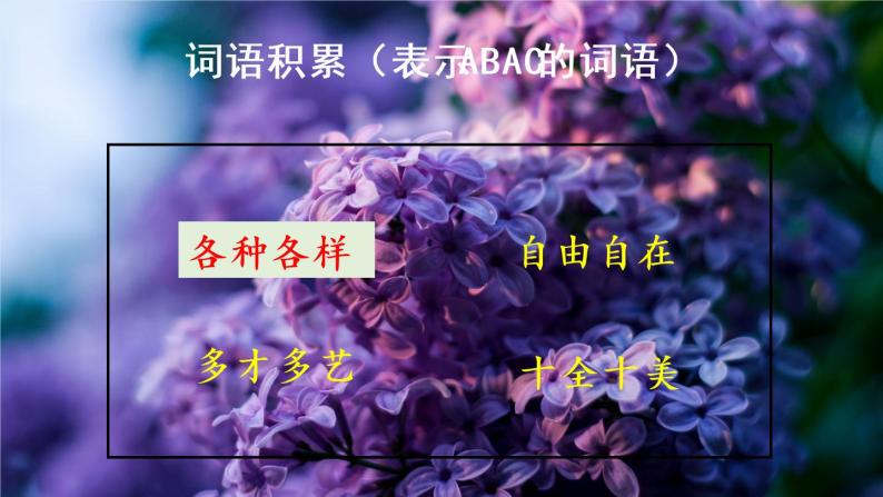 3《一个接一个》课件+教案+素材+练习06