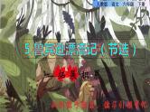 人教版六年级下册语文 第2单元 5.鲁宾逊漂流记（节选）拓展积累课件