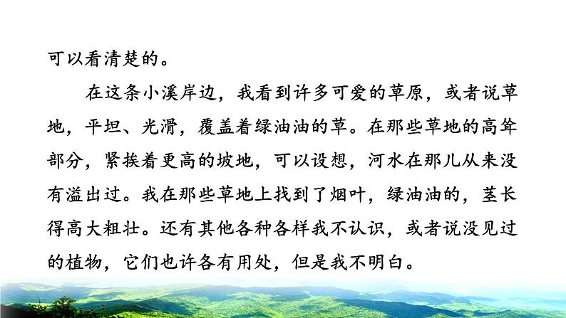 人教版六年级下册语文 第2单元 5.鲁宾逊漂流记（节选）拓展积累课件08