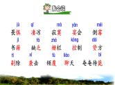 人教版六年级下册语文 第2单元 5.鲁宾逊漂流记（节选）初读感知课件