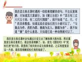人教版五年级下册语文 第2单元 语文园地二 课件