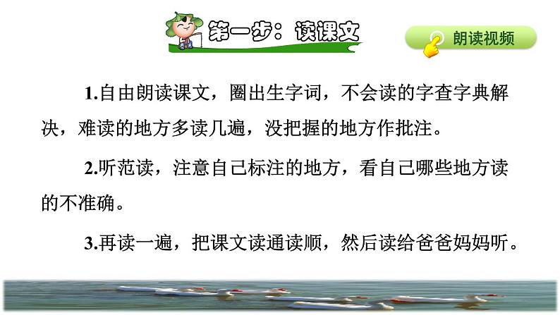 人教版四年级下册语文 第4单元 15.白鹅课前预习课件第4页