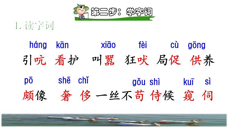 人教版四年级下册语文 第4单元 15.白鹅课前预习课件第5页