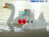 人教版四年级下册语文 第4单元 15.白鹅品读释疑课件