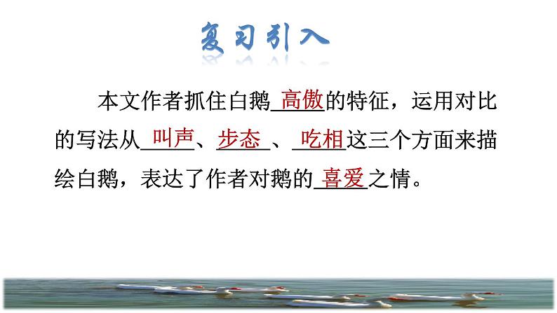 人教版四年级下册语文 第4单元 15.白鹅品读释疑课件02