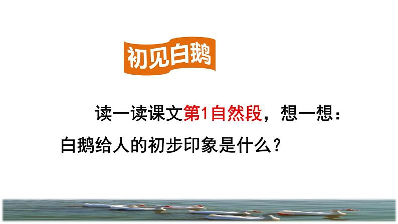 人教版四年级下册语文 第4单元 15.白鹅品读释疑课件05