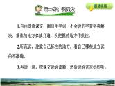 人教版四年级下册语文 第2单元 6.飞向蓝天的恐龙课前预习课件