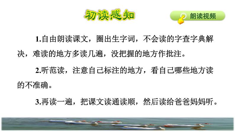 人教版四年级下册语文 第4单元 15.白鹅初读感知课件04