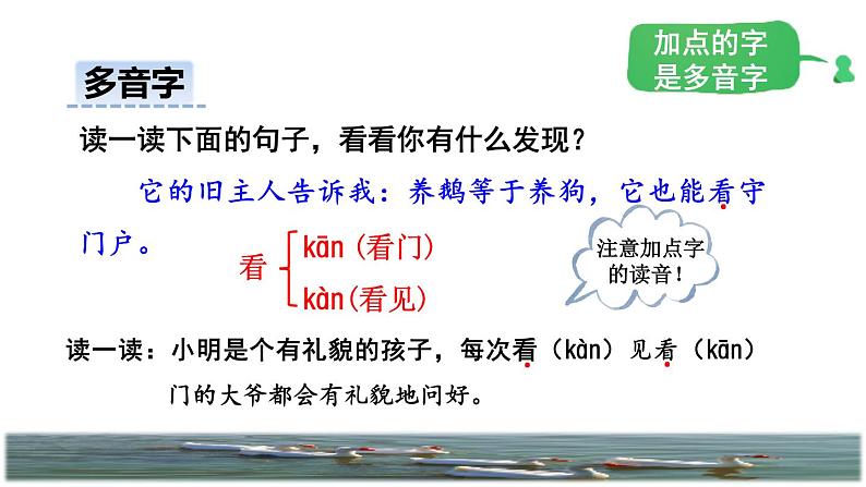 人教版四年级下册语文 第4单元 15.白鹅初读感知课件08