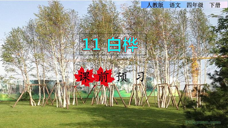 人教版四年级下册语文 第3单元 11.白桦课前预习课件第1页