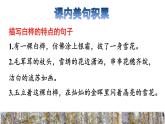 人教版四年级下册语文 第3单元 11.白桦拓展积累课件