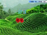 人教版四年级下册语文 第3单元 10.绿课前预习课件