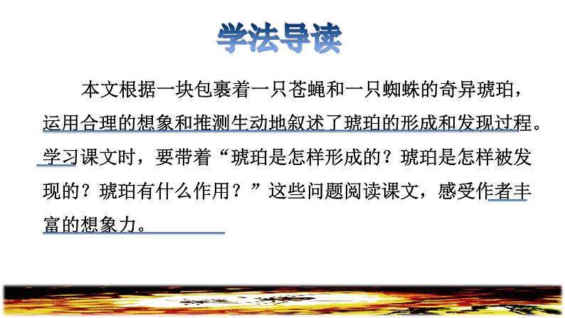 人教版四年级下册语文 第2单元 5.琥珀品读释疑课件第3页