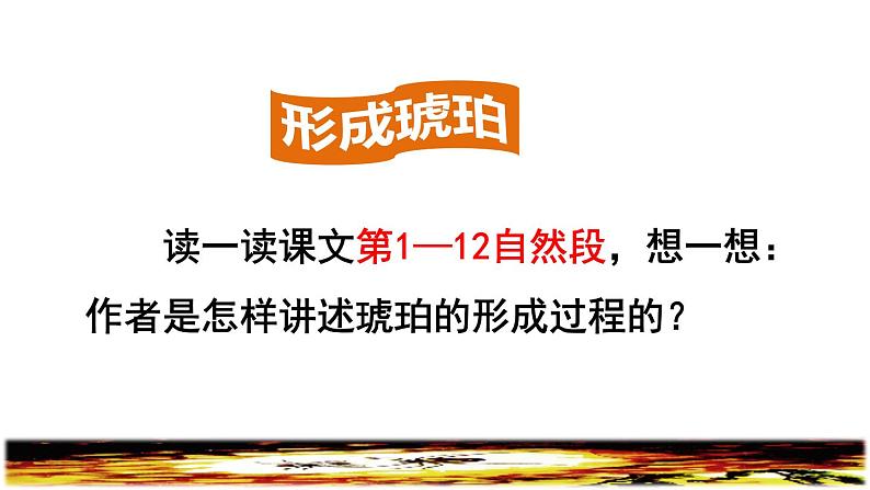 人教版四年级下册语文 第2单元 5.琥珀品读释疑课件第5页