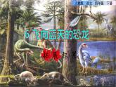 人教版四年级下册语文 第2单元 6.飞向蓝天的恐龙拓展积累课件