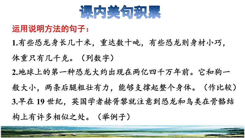 人教版四年级下册语文 第2单元 6.飞向蓝天的恐龙拓展积累课件03