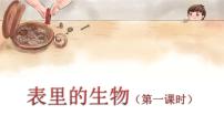人教部编版六年级下册15 表里的生物背景图课件ppt