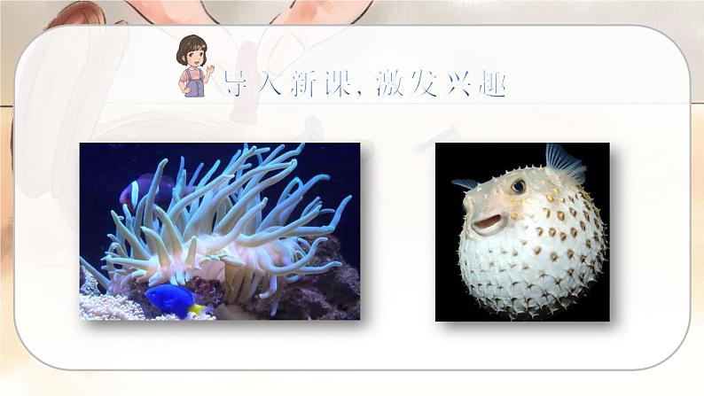 人教版语文六年级下册 第五单元16.表里的生物PPT课件+教案02