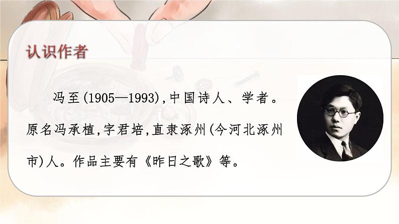 人教版语文六年级下册 第五单元16.表里的生物PPT课件+教案04