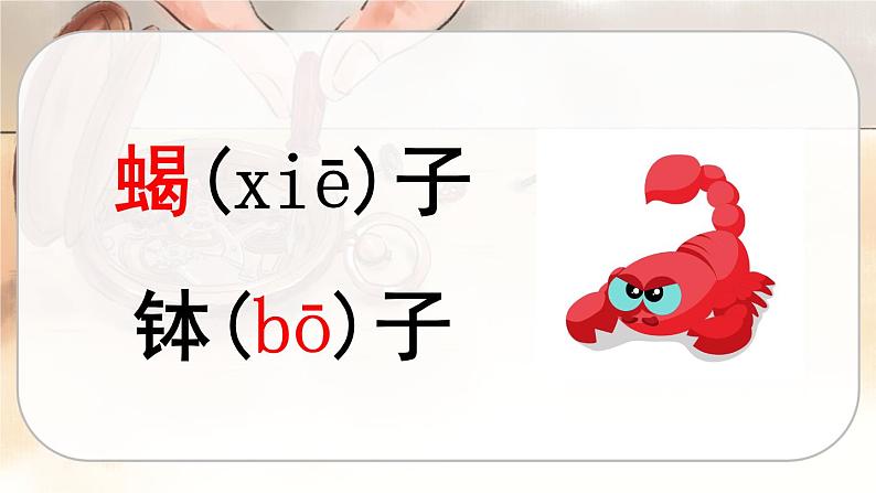 人教版语文六年级下册 第五单元16.表里的生物PPT课件+教案06