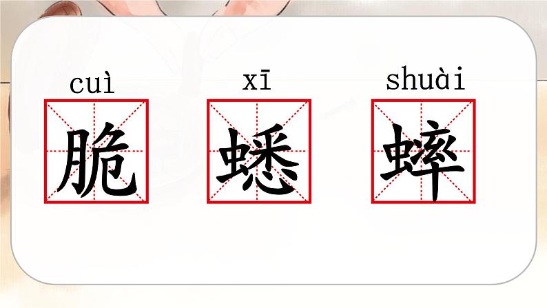人教版语文六年级下册 第五单元16.表里的生物PPT课件+教案07