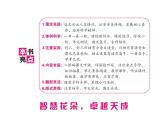 统编版语文四年级下册第五单元 训练课件（5份打包 图片版 有答案）