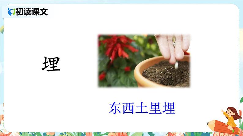 部编版语文四年级下册《5 琥珀》课件（送教案+练习含答案）08